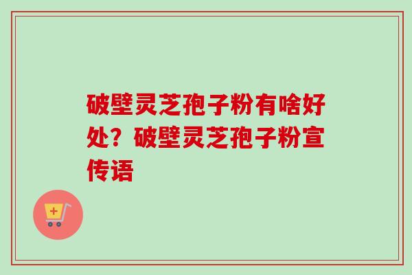 破壁灵芝孢子粉有啥好处?破壁灵芝孢子粉宣传语 破壁灵芝孢子粉有啥好处?破壁灵芝孢子粉宣传语