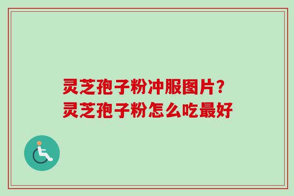 灵芝孢子粉冲服图片？灵芝孢子粉怎么吃好