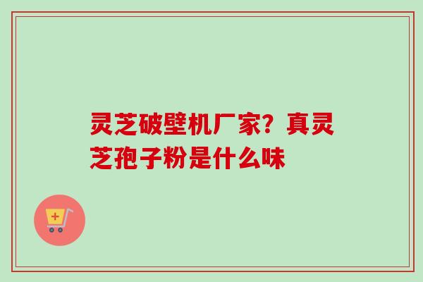 灵芝破壁机厂家？真灵芝孢子粉是什么味
