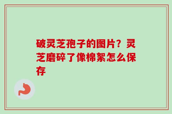 破灵芝孢子的图片？灵芝磨碎了像棉絮怎么保存