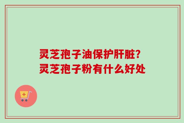 灵芝孢子油保护?灵芝孢子粉有什么好处 灵芝孢子油保护?灵芝孢子粉有什么好处