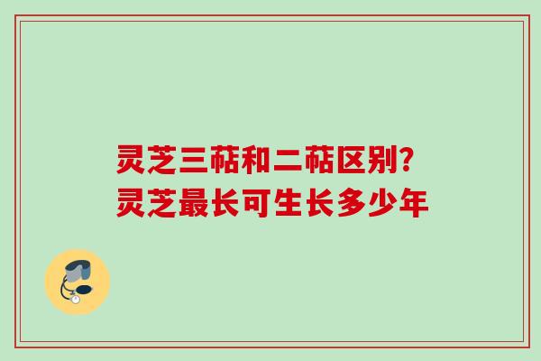 灵芝三萜和二萜区别?灵芝长可生长多少年 灵芝三萜和二萜区别?灵芝长可生长多少年