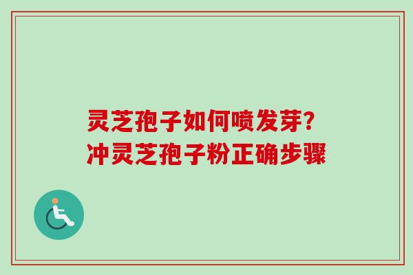 灵芝孢子如何喷发芽?冲灵芝孢子粉正确步骤 灵芝孢子如何喷发芽?冲灵芝孢子粉正确步骤