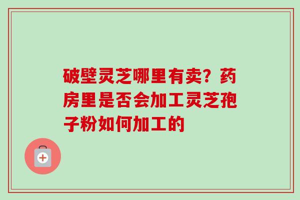 破壁灵芝哪里有卖？药房里是否会加工灵芝孢子粉如何加工的