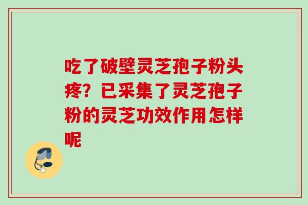吃了破壁灵芝孢子粉头疼?已采集了灵芝孢子粉的灵芝功效作用怎样呢 吃了破壁灵芝孢子粉头疼?已采集了灵芝孢子粉的灵芝功效作用怎样呢
