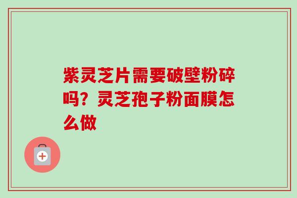 紫灵芝片需要破壁粉碎吗？灵芝孢子粉面膜怎么做