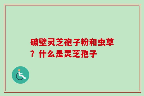 破壁灵芝孢子粉和虫草?什么是灵芝孢子 破壁灵芝孢子粉和虫草?什么是灵芝孢子