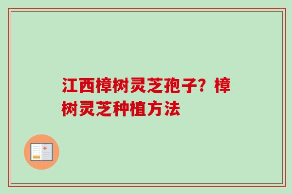 江西樟树灵芝孢子?樟树灵芝种植方法 江西樟树灵芝孢子?樟树灵芝种植方法
