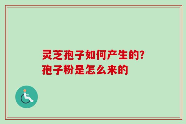 灵芝孢子如何产生的?孢子粉是怎么来的 灵芝孢子如何产生的?孢子粉是怎么来的