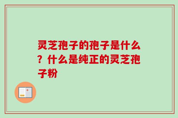 灵芝孢子的孢子是什么？什么是纯正的灵芝孢子粉