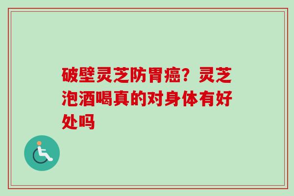 破壁灵芝防胃?灵芝泡酒喝真的对身体有好处吗 破壁灵芝防胃?灵芝泡酒喝真的对身体有好处吗