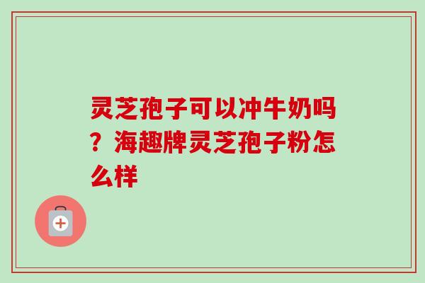 灵芝孢子可以冲牛奶吗？海趣牌灵芝孢子粉怎么样