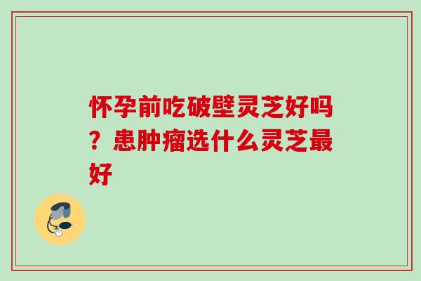 怀孕前吃破壁灵芝好吗?患选什么灵芝好 怀孕前吃破壁灵芝好吗?患选什么灵芝好