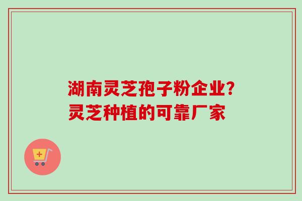 湖南灵芝孢子粉企业?灵芝种植的可靠厂家 湖南灵芝孢子粉企业?灵芝种植的可靠厂家