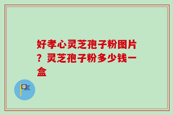好孝心灵芝孢子粉图片?灵芝孢子粉多少钱一盒 好孝心灵芝孢子粉图片?灵芝孢子粉多少钱一盒