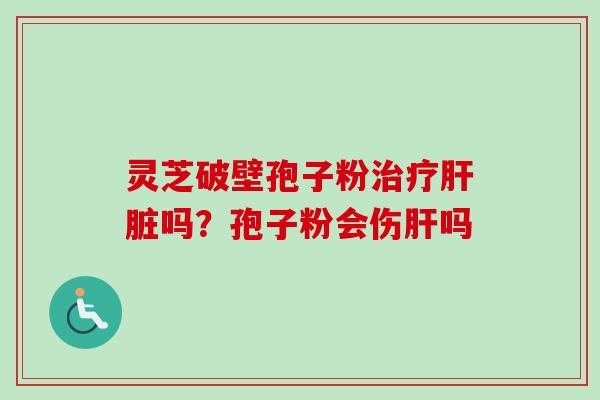 灵芝破壁孢子粉吗?孢子粉会伤吗 灵芝破壁孢子粉吗?孢子粉会伤吗