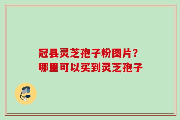 冠县灵芝孢子粉图片?哪里可以买到灵芝孢子 冠县灵芝孢子粉图片?哪里可以买到灵芝孢子