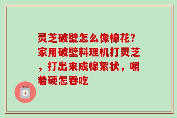 灵芝破壁怎么像棉花?家用破壁料理机打灵芝,打出来成棉絮状,嚼着硬怎吞吃 灵芝破壁怎么像棉花?家用破壁料理机打灵芝,打出来成棉絮状,嚼着硬怎吞吃