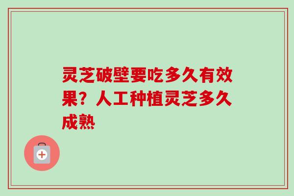 灵芝破壁要吃多久有效果?人工种植灵芝多久成熟 灵芝破壁要吃多久有效果?人工种植灵芝多久成熟