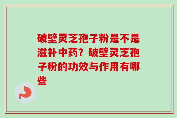 破壁灵芝孢子粉是不是滋补？破壁灵芝孢子粉的功效与作用有哪些