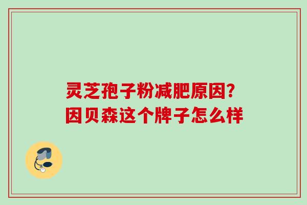 灵芝孢子粉原因?因贝森这个牌子怎么样 灵芝孢子粉原因?因贝森这个牌子怎么样