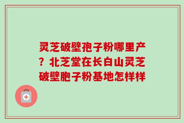 灵芝破壁孢子粉哪里产?北芝堂在长白山灵芝破壁胞子粉基地怎样样 灵芝破壁孢子粉哪里产?北芝堂在长白山灵芝破壁胞子粉基地怎样样