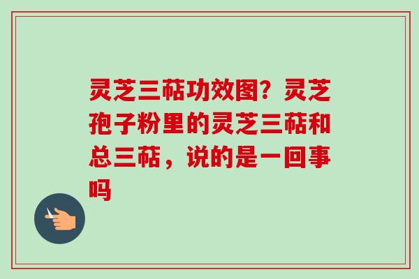 灵芝三萜功效图?灵芝孢子粉里的灵芝三萜和总三萜,说的是一回事吗 灵芝三萜功效图?灵芝孢子粉里的灵芝三萜和总三萜,说的是一回事吗