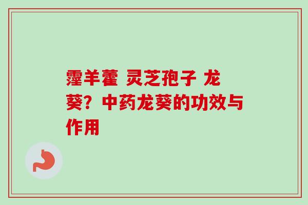霪羊藿 灵芝孢子 龙葵?龙葵的功效与作用 霪羊藿 灵芝孢子 龙葵?龙葵的功效与作用