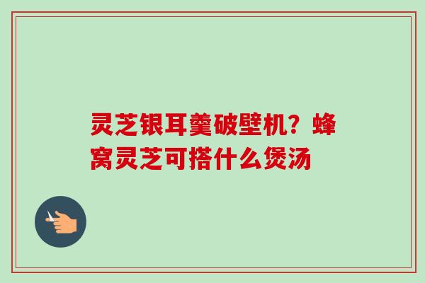 灵芝银耳羹破壁机?蜂窝灵芝可搭什么煲汤 灵芝银耳羹破壁机?蜂窝灵芝可搭什么煲汤