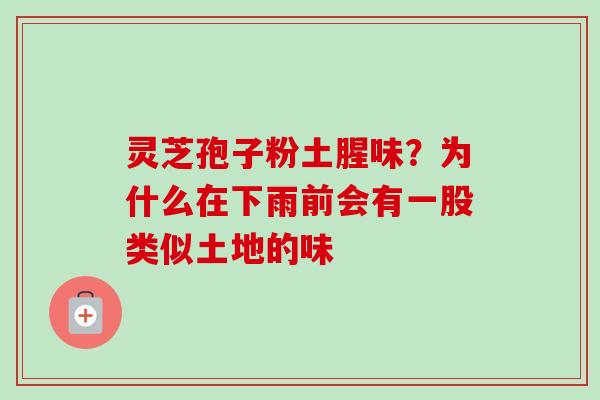 灵芝孢子粉土腥味?为什么在下雨前会有一股类似土地的味 灵芝孢子粉土腥味?为什么在下雨前会有一股类似土地的味