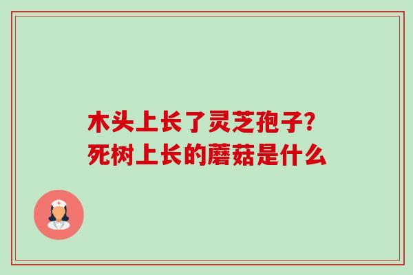 木头上长了灵芝孢子？死树上长的蘑菇是什么