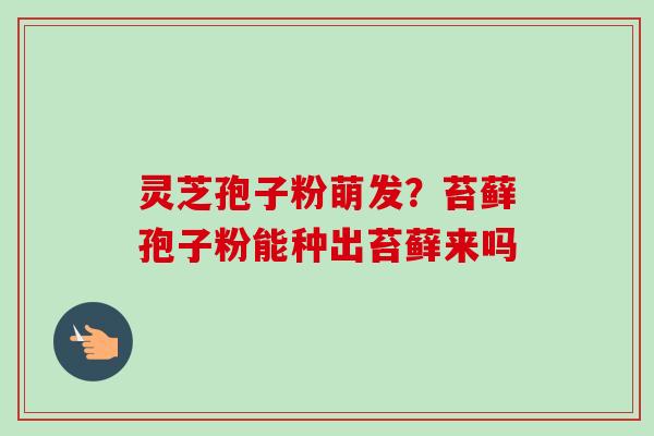 灵芝孢子粉萌发?苔藓孢子粉能种出苔藓来吗 灵芝孢子粉萌发?苔藓孢子粉能种出苔藓来吗