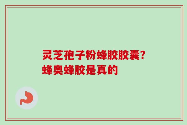 灵芝孢子粉蜂胶胶囊?蜂奥蜂胶是真的 灵芝孢子粉蜂胶胶囊?蜂奥蜂胶是真的