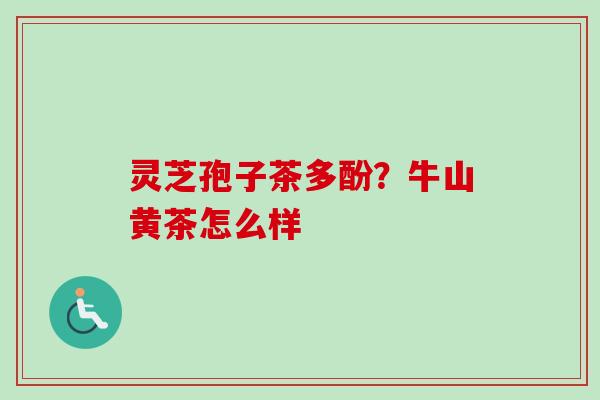 灵芝孢子茶多酚?牛山黄茶怎么样 灵芝孢子茶多酚?牛山黄茶怎么样