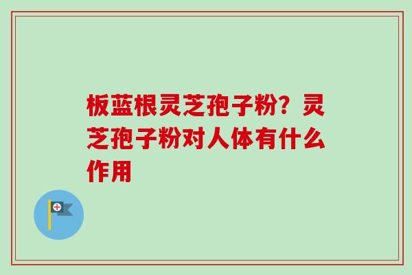 板蓝根灵芝孢子粉?灵芝孢子粉对人体有什么作用 板蓝根灵芝孢子粉?灵芝孢子粉对人体有什么作用