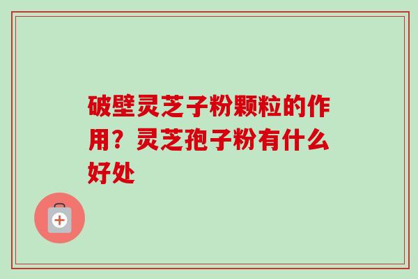 破壁灵芝子粉颗粒的作用?灵芝孢子粉有什么好处 破壁灵芝子粉颗粒的作用?灵芝孢子粉有什么好处