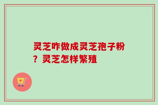 灵芝咋做成灵芝孢子粉?灵芝怎样繁殖 灵芝咋做成灵芝孢子粉?灵芝怎样繁殖