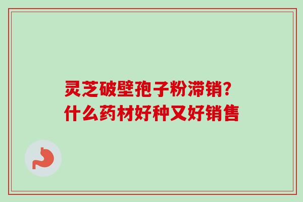 灵芝破壁孢子粉滞销？什么药材好种又好销售