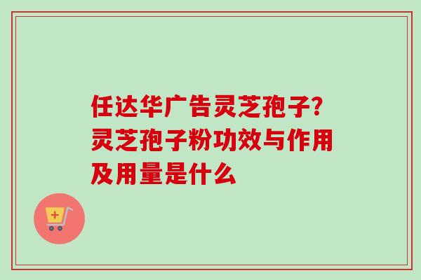 任达华广告灵芝孢子?灵芝孢子粉功效与作用及用量是什么 任达华广告灵芝孢子?灵芝孢子粉功效与作用及用量是什么