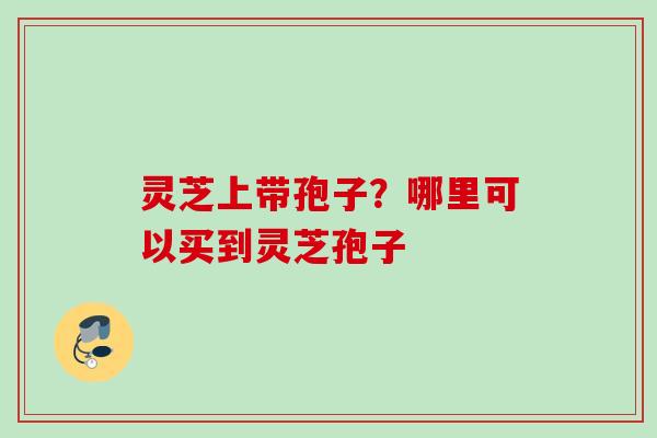灵芝上带孢子?哪里可以买到灵芝孢子 灵芝上带孢子?哪里可以买到灵芝孢子