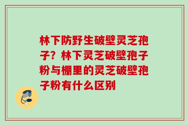 林下防野生破壁灵芝孢子?林下灵芝破壁孢子粉与棚里的灵芝破壁孢子粉有什么区别 林下防野生破壁灵芝孢子?林下灵芝破壁孢子粉与棚里的灵芝破壁孢子粉有什么区别