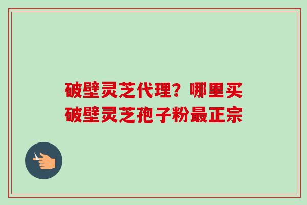 破壁灵芝代理？哪里买破壁灵芝孢子粉正宗