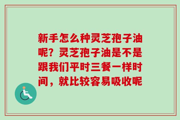 新手怎么种灵芝孢子油呢？灵芝孢子油是不是跟我们平时三餐一样时间，就比较容易吸收呢