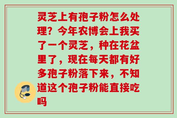 灵芝上有孢子粉怎么处理?今年农博会上我买了一个灵芝,种在花盆里了,现在每天都有好多孢子粉落下来,不知道这个孢子粉能直接吃吗 灵芝上有孢子粉怎么处理?今年农博会上我买了一个灵芝,种在花盆里了,现在每天都有好多孢子粉落下来,不知道这个孢子粉能直接吃吗
