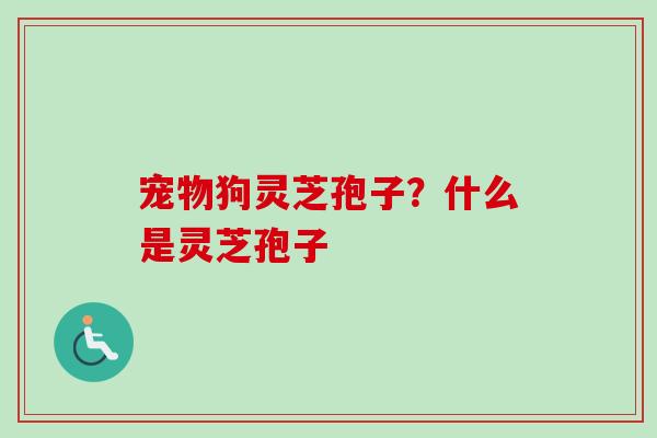 宠物狗灵芝孢子?什么是灵芝孢子 宠物狗灵芝孢子?什么是灵芝孢子