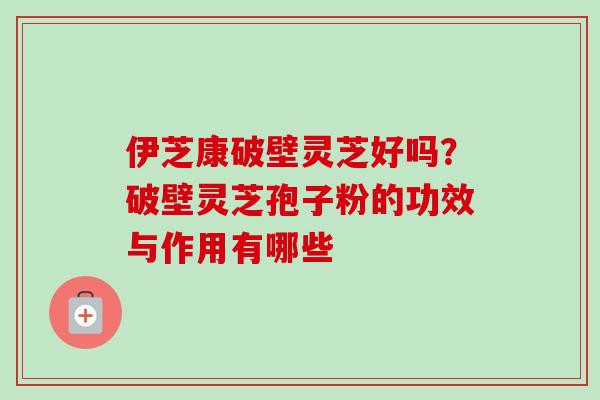 伊芝康破壁灵芝好吗?破壁灵芝孢子粉的功效与作用有哪些 伊芝康破壁灵芝好吗?破壁灵芝孢子粉的功效与作用有哪些