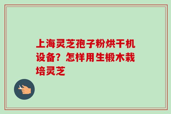 上海灵芝孢子粉烘干机设备?怎样用生椴木栽培灵芝 上海灵芝孢子粉烘干机设备?怎样用生椴木栽培灵芝