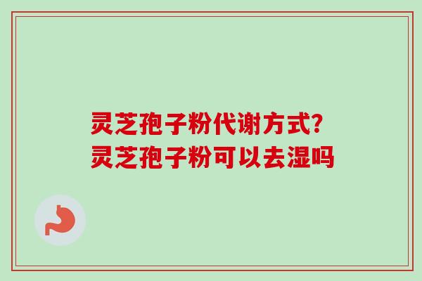 灵芝孢子粉代谢方式？灵芝孢子粉可以去湿吗