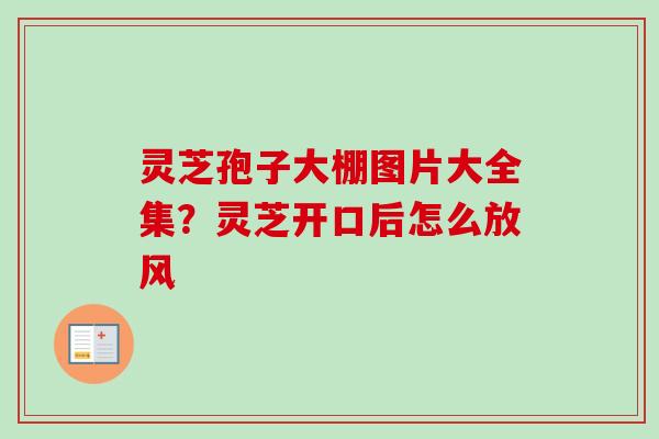 灵芝孢子大棚图片大全集？灵芝开口后怎么放风