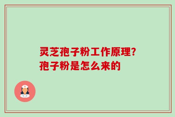 灵芝孢子粉工作原理？孢子粉是怎么来的